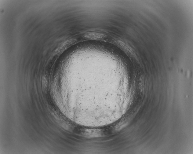 X0000085010371200703261201