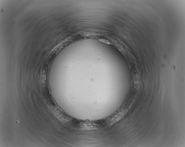 X0000085010372200703261201