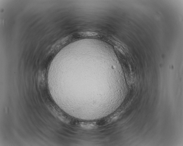 X0000085010373200703261201