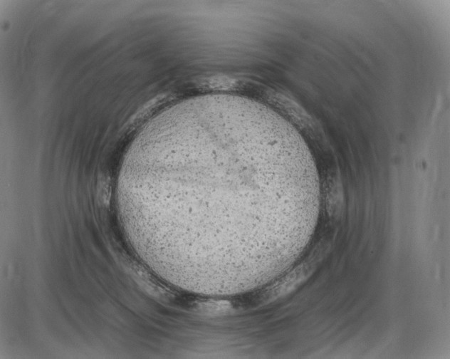 X0000085010374200703261201