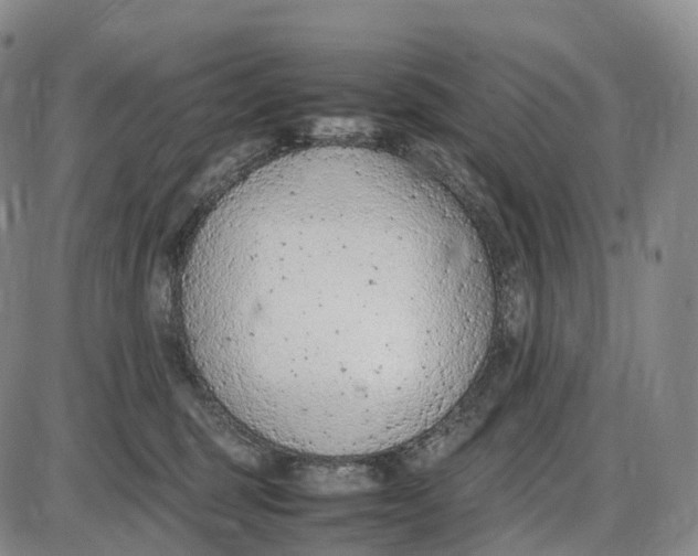 X0000085010375200703261201