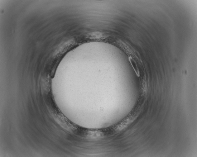 X0000085010376200703261201