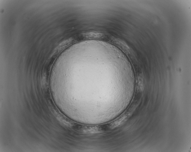 X0000085010377200703261201