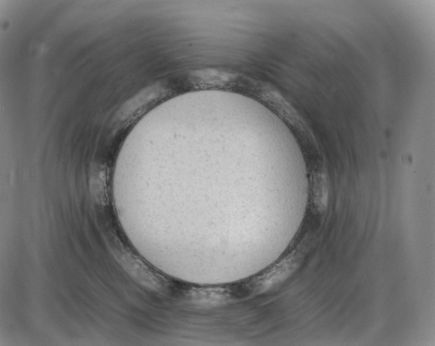 X0000085010378200703261201