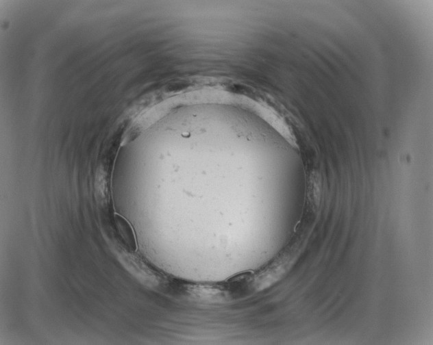 X0000085010380200703261201