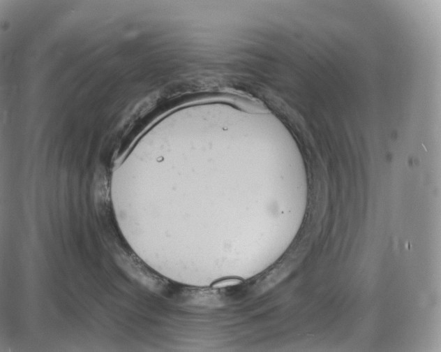 X0000085010384200703261201