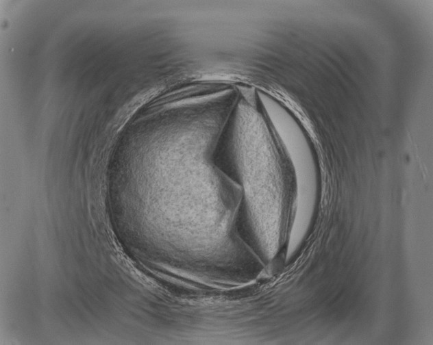 X0000085010385200703261200