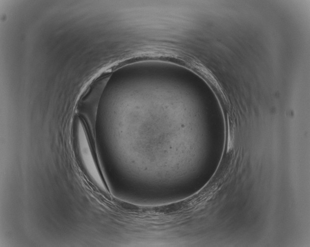 X0000085010387200703261200