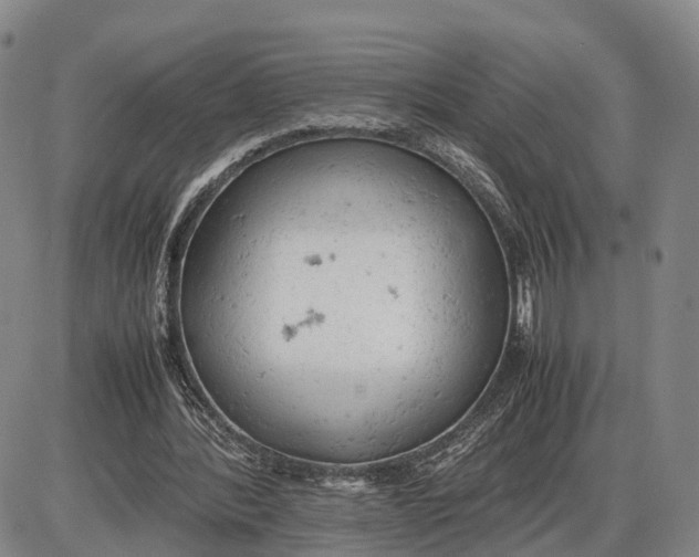 X0000085010388200703261200