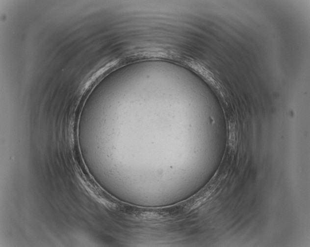 X0000085010390200703261200