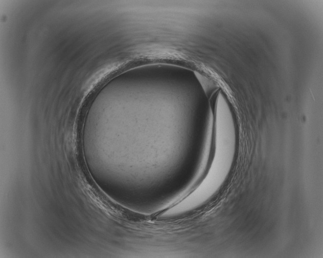 X0000085010391200703261200