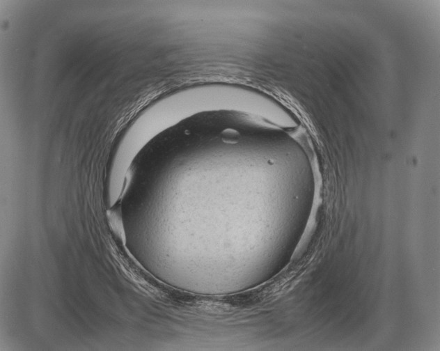 X0000085010393200703261200