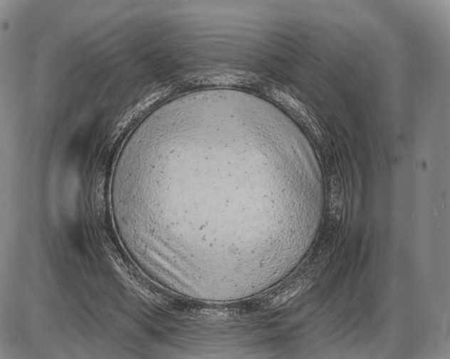 X0000085010394200703261200