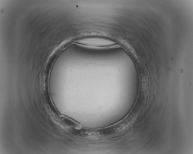 X0000085010395200703261200