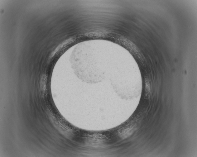 X0000085010396200703261200