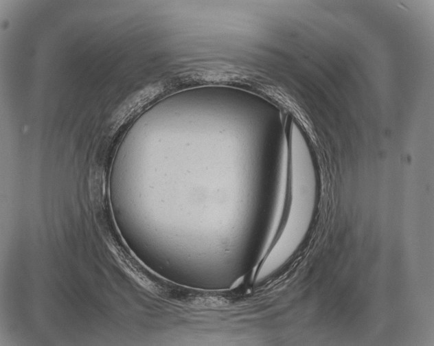 X0000085010397200703261200