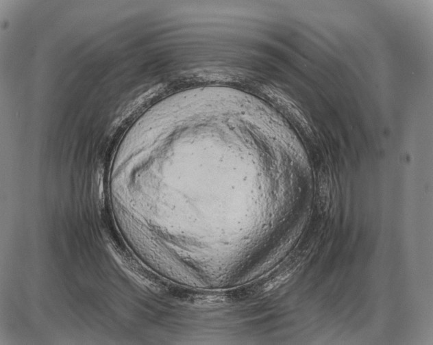 X0000085010398200703261200