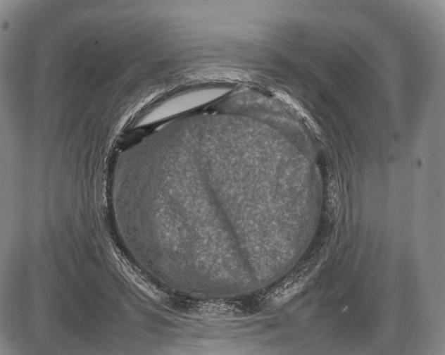 X0000085010399200703261200