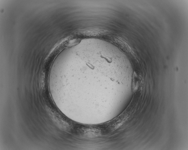 X0000085010400200703261200