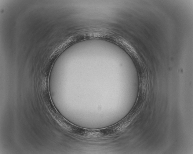 X0000085010401200703261200