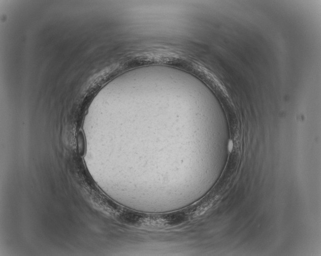 X0000085010403200703261200