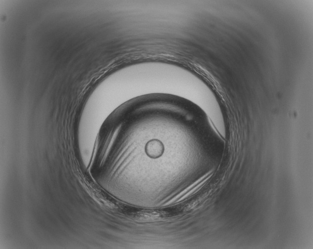 X0000085010405200703261200