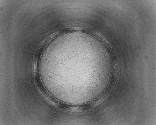 X0000085010406200703261200