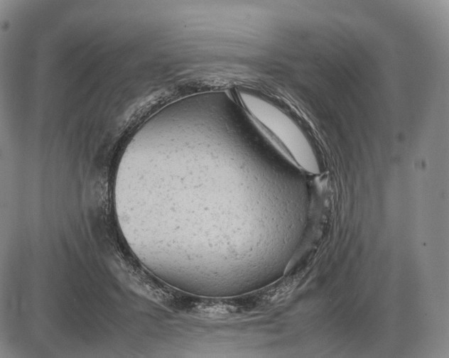 X0000085010407200703261200