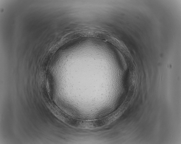 X0000085010409200703261200