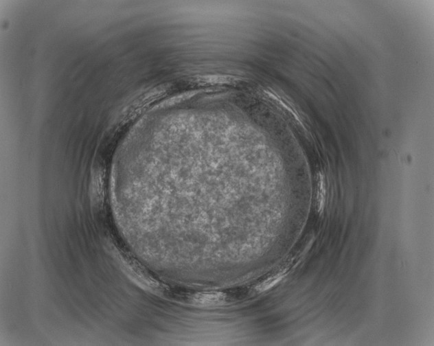 X0000085010410200703261200