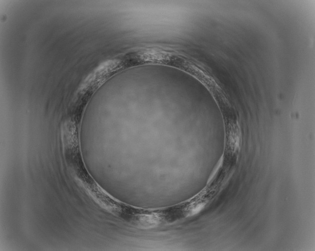 X0000085010411200703261200