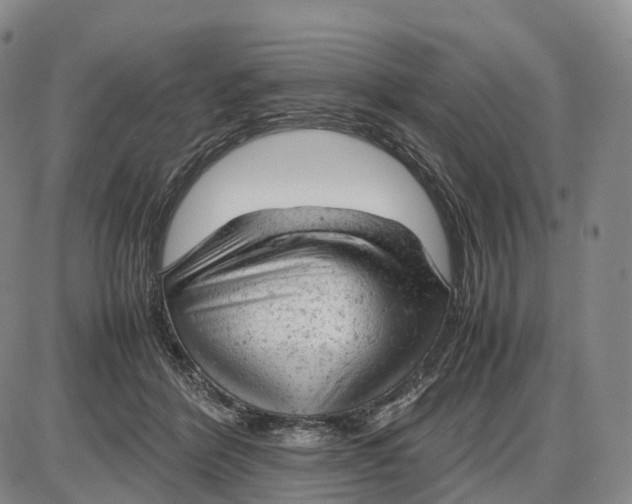 X0000085010412200703261200