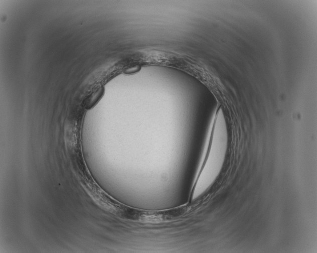 X0000085010413200703261200