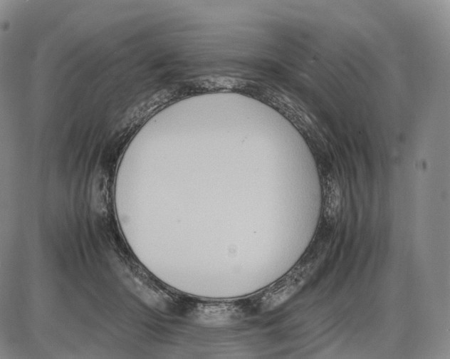 X0000085010414200703261200