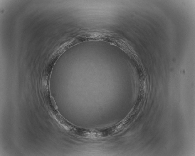 X0000085010415200703261200