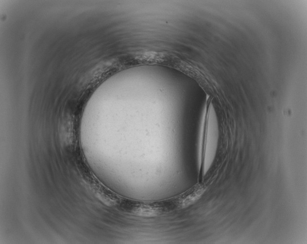 X0000085010416200703261200