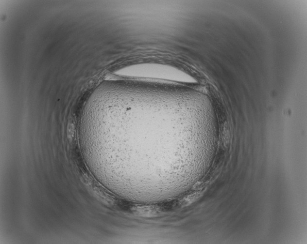 X0000085010417200703261200