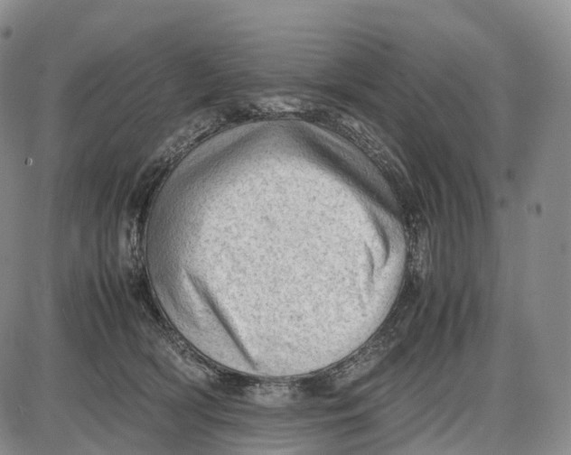 X0000085010418200703261200