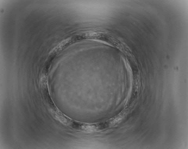 X0000085010419200703261200