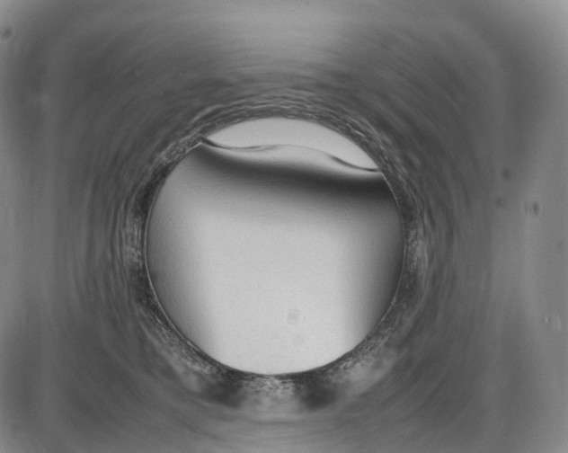 X0000085010421200703261200