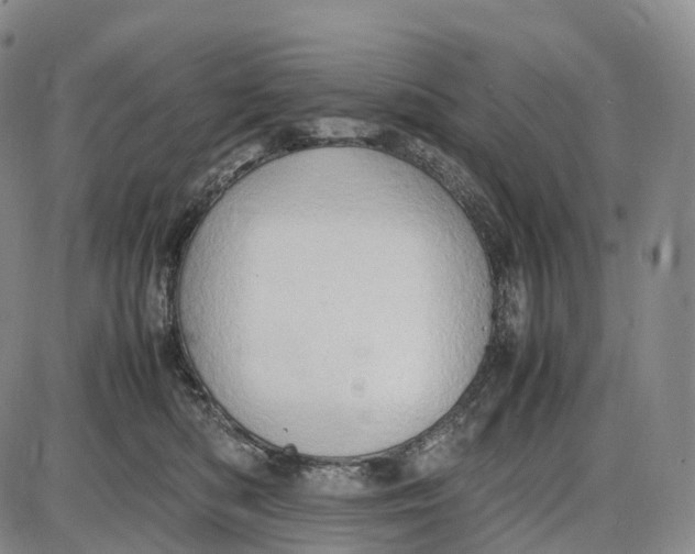 X0000085010422200703261200