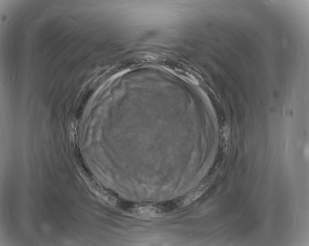 X0000085010423200703261200