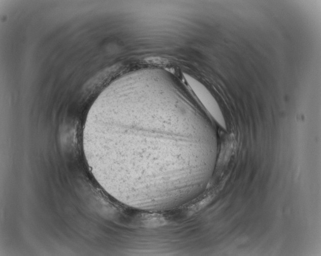 X0000085010424200703261200