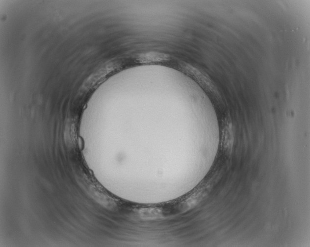 X0000085010426200703261200