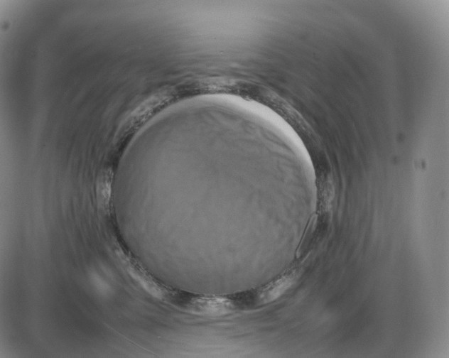 X0000085010427200703261200