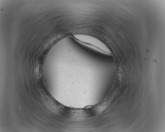 X0000085010428200703261200