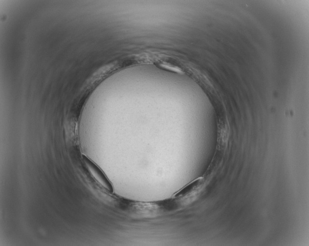 X0000085010429200703261159