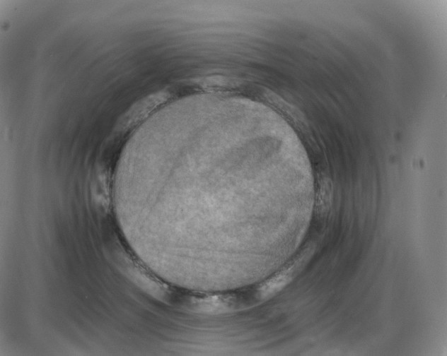 X0000085010430200703261159