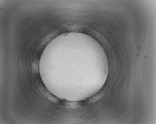 X0000085010432200703261159