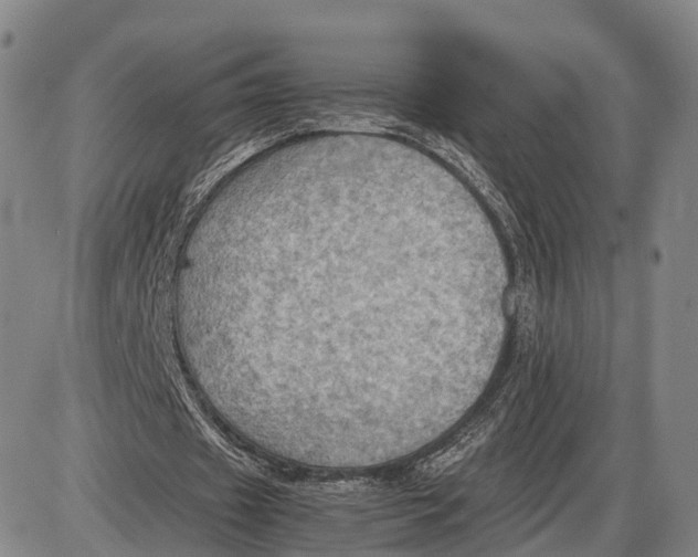 X0000085010433200703261159